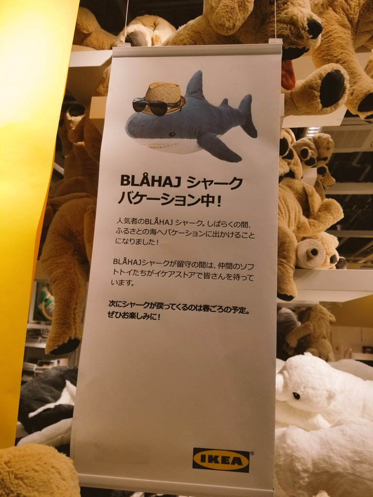 Ikeaのサメ バケーション中