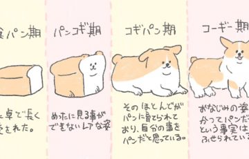 面白いツイートが好きな方、 フォローお願いします!