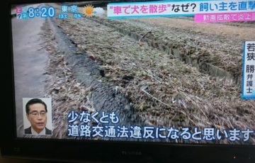 うんこ食ったら死にかけるってふたばで教えてもらったから俺は食わない