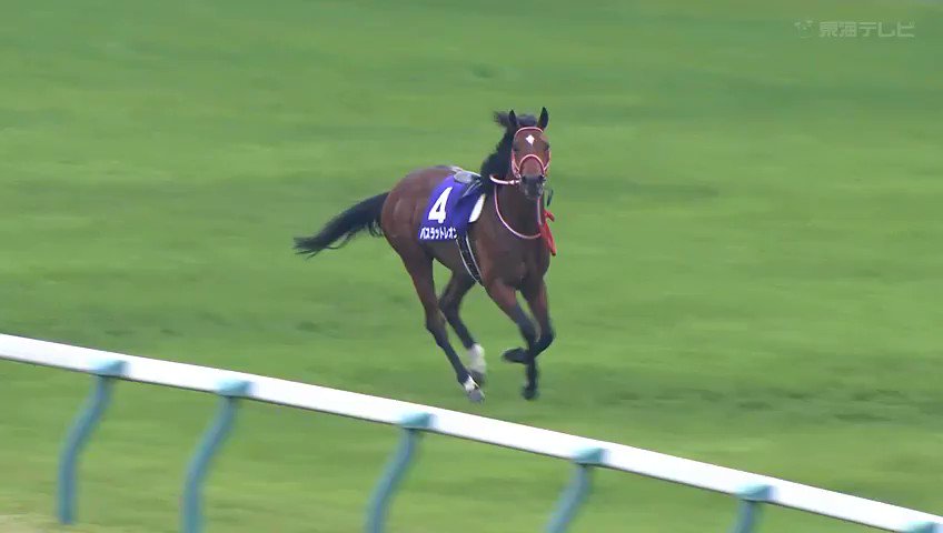 楽しげww バスラットレオン Nhkマイルカップ Nhkマイルc