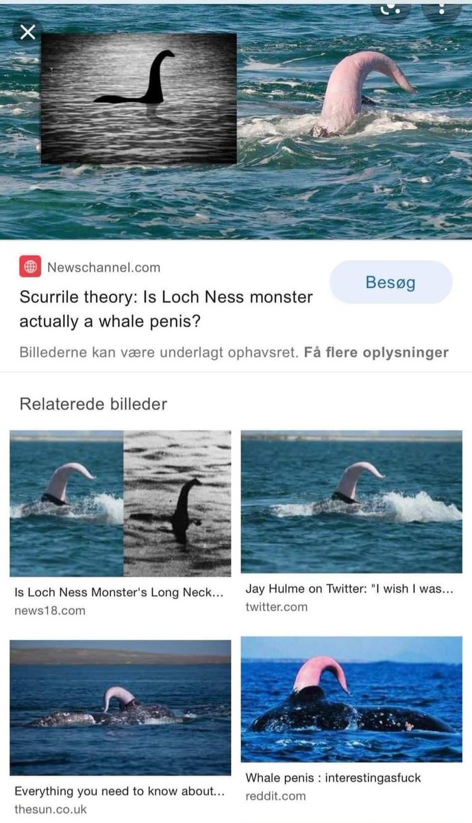 ネッシー 鯨のちんぽ説
