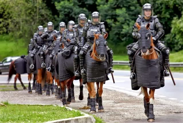 どうして日本には騎馬警官がいないの？